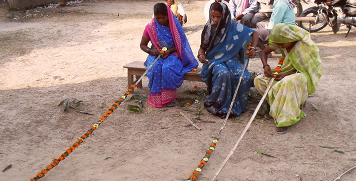 Livelihood ProgramDepura VDC,Dhanusha